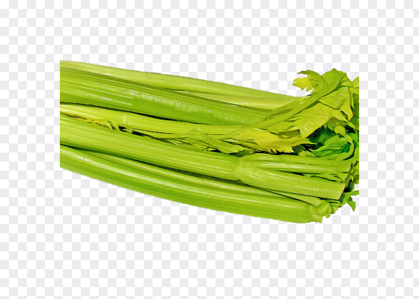 Tangy Thai Cuisine Celery Vegetable Celeriac Parsnip PNG