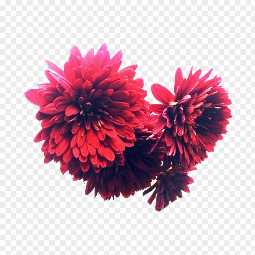 A Picture Of Ink Chrysanthemum Flowers Inkstick Flower Bouquet Designer PNG