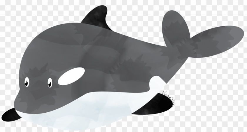 Design Porpoise Headgear Cetacea PNG