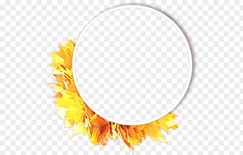 Fashion Accessory Orange PNG