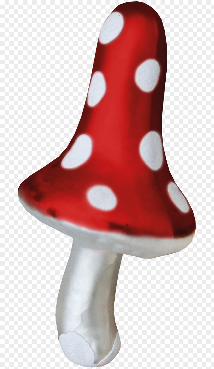 Mushroom Fungus Clip Art PNG