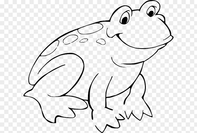 Amphibian Red-eyed Tree Frog Coloring Book Toad PNG