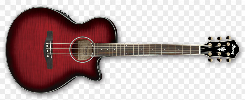 Beautiful Acoustic Guitars Color Ibanez AEG10II Acoustic-Electric Guitar AEG1812II AEG 12-String Electric PNG