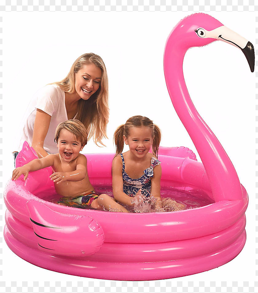 Flamingo Pool Inflatable Swimming Air Mattresses Infant Beach Ball PNG