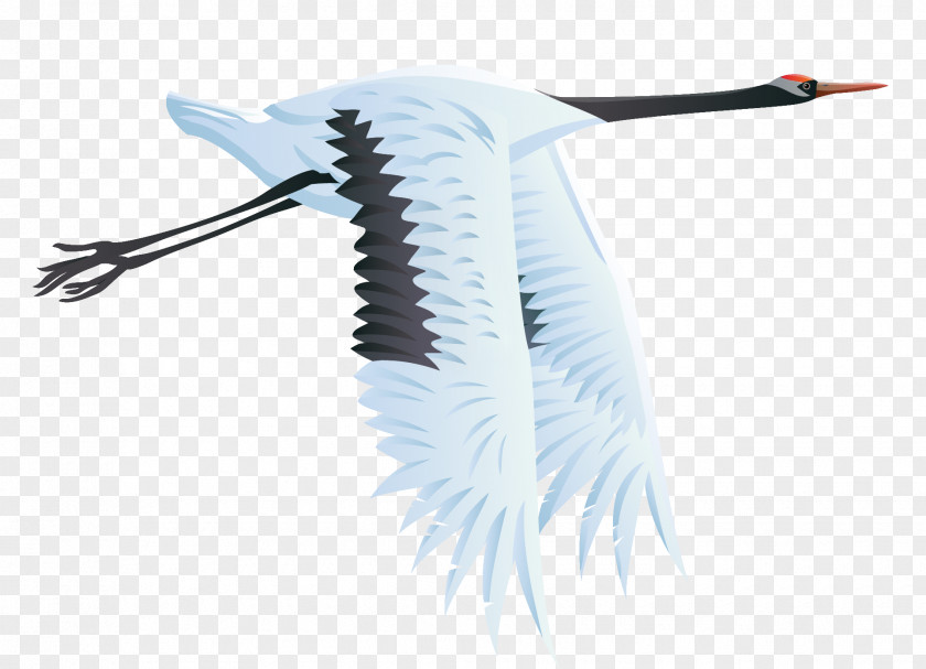 Gull Crane Bird Heron Clip Art PNG