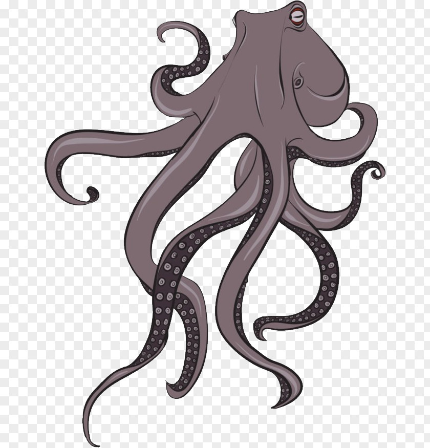 Octopus Verrucosus Clip Art PNG