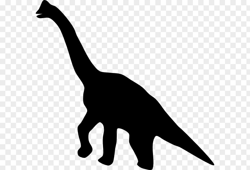 Profiled Vector Tyrannosaurus Spinosaurus Dinosaur Museum Giganotosaurus PNG