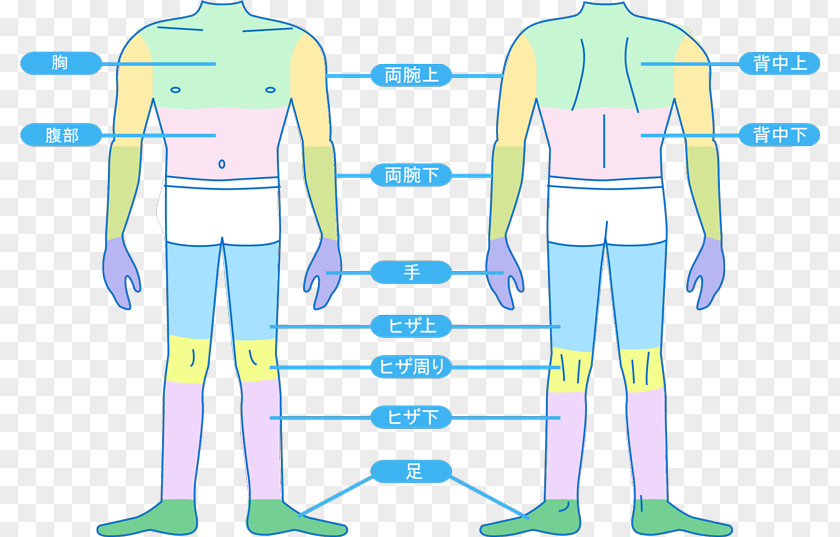 Standard Body Sleeve Shoulder Uniform Clip Art Illustration PNG