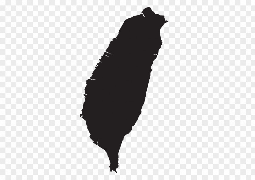 Taiwan Vector Map PNG