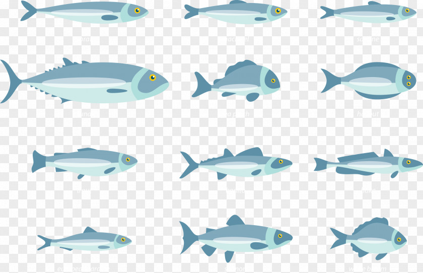 Vector Fish Euclidean PNG