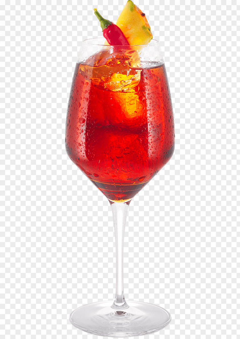 Cocktail Garnish Wine Spritz Negroni PNG