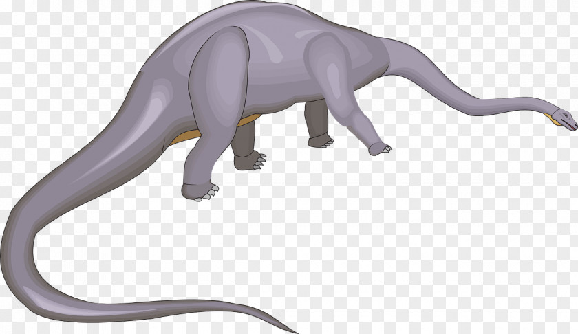 Dinosaur Diplodocus Clip Art PNG