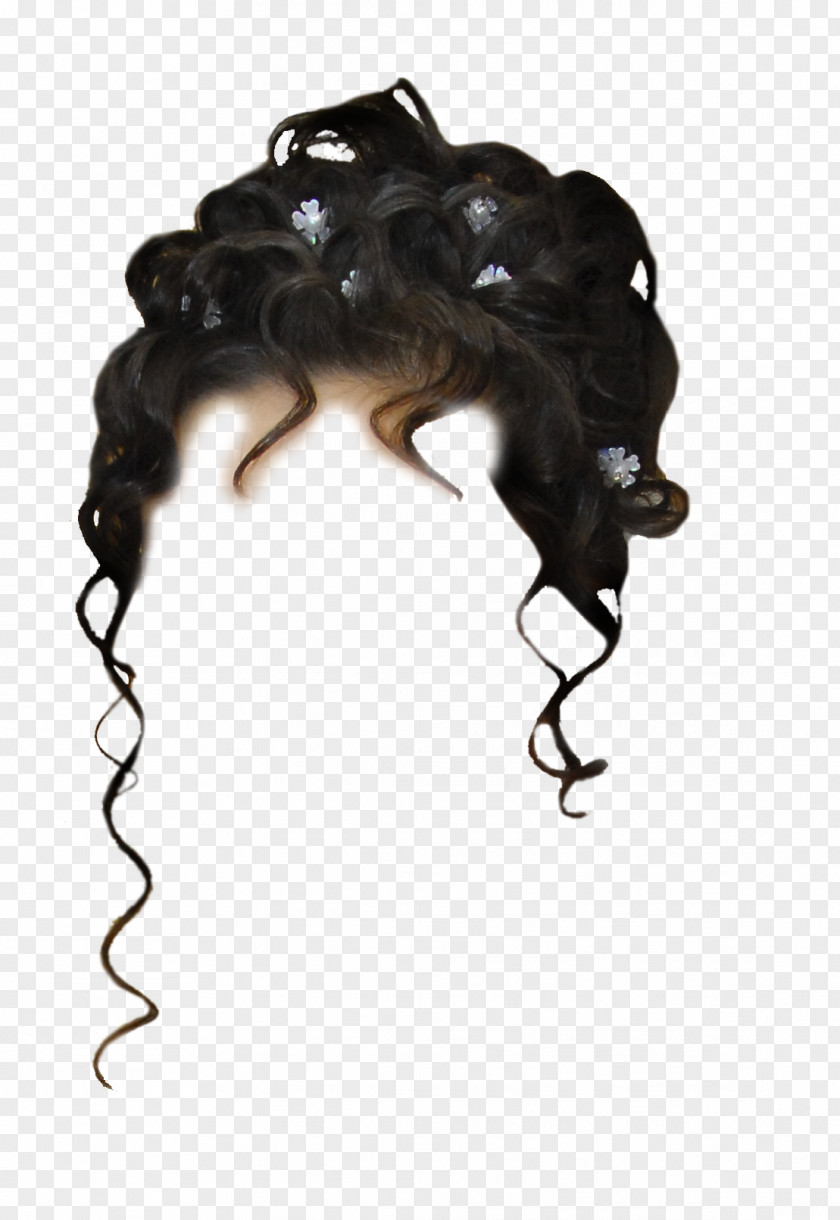 Hair Hairstyle Capelli Wig Long PNG