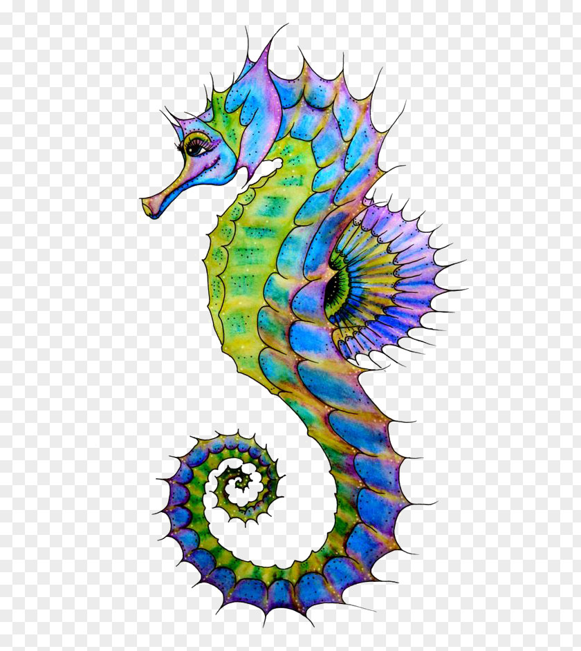 Hippo Seahorse Drawing Art Clip PNG