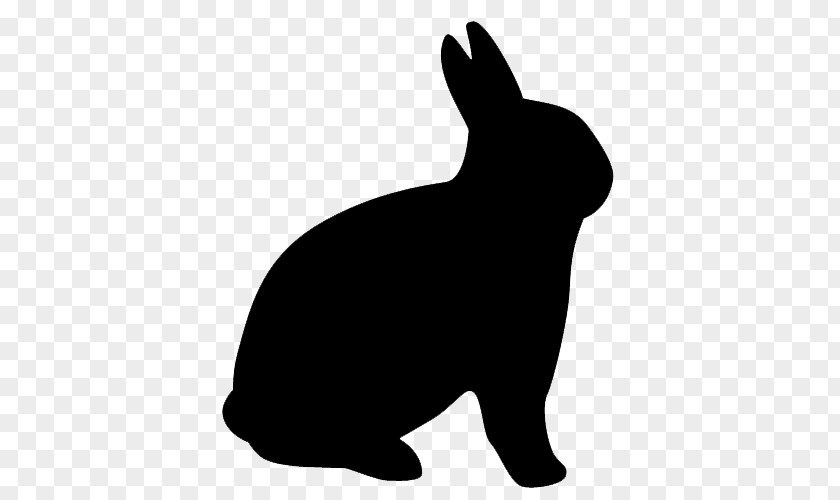 Rabbit Hare Domestic Chinchilla Clip Art PNG
