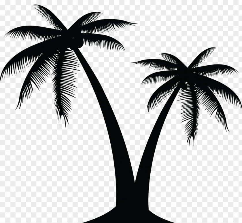 Seascape Icons Vector Graphics Palm Trees Clip Art Silhouette PNG