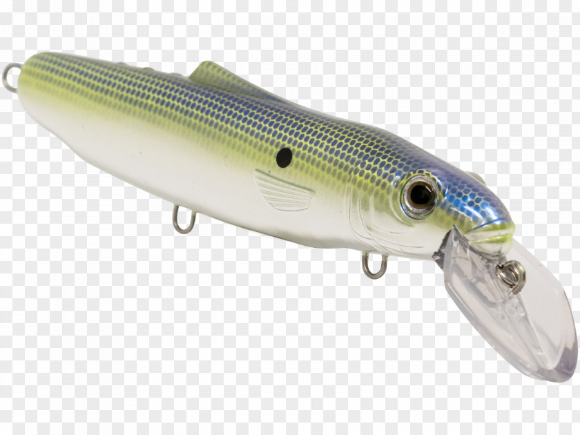 Spoon Lure Osmeriformes Fish AC Power Plugs And Sockets PNG