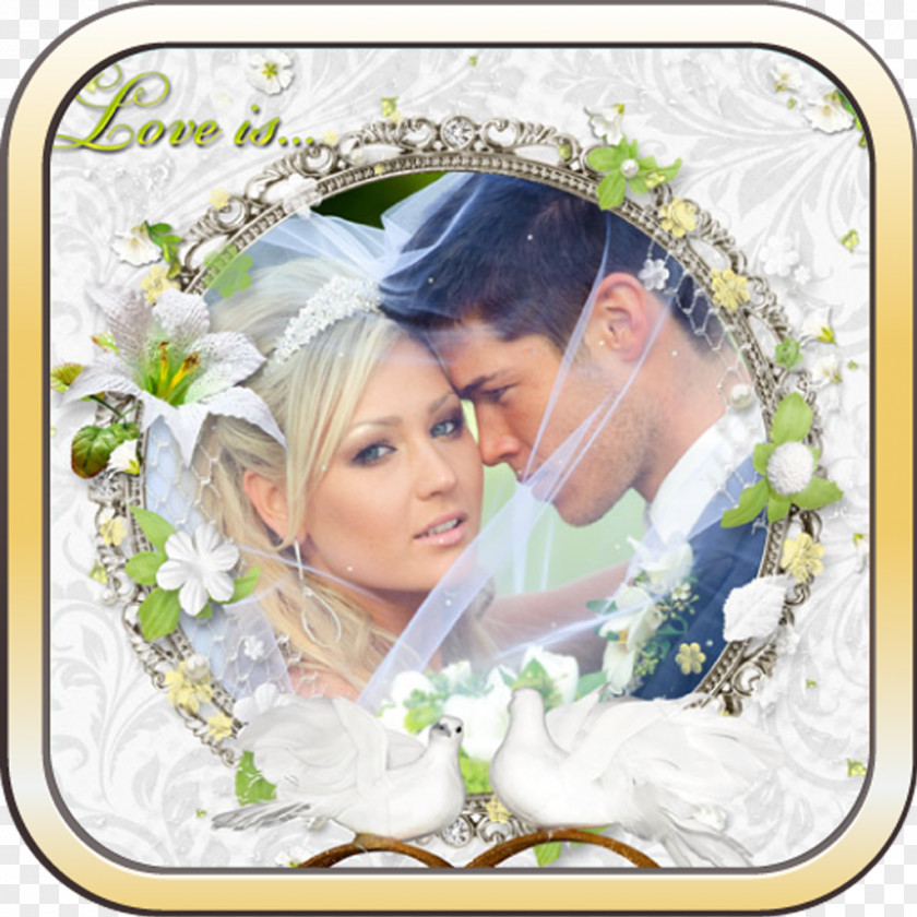 Wedding Picture Frames Photography Bride PNG