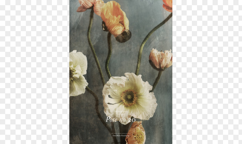 Floral Design Poppy HEIMELIG Shop Number PNG