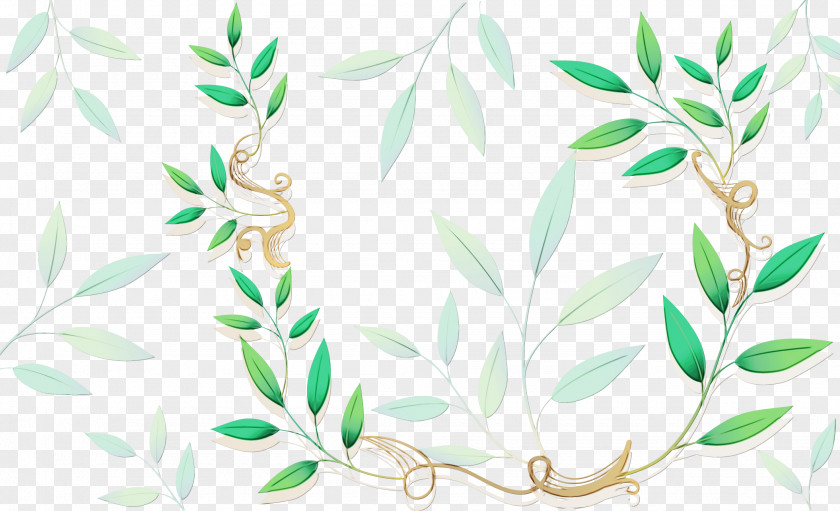 Floral Design PNG