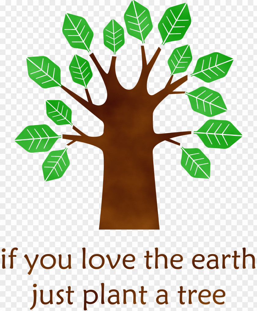 Leaf Meter Green Tree Line PNG