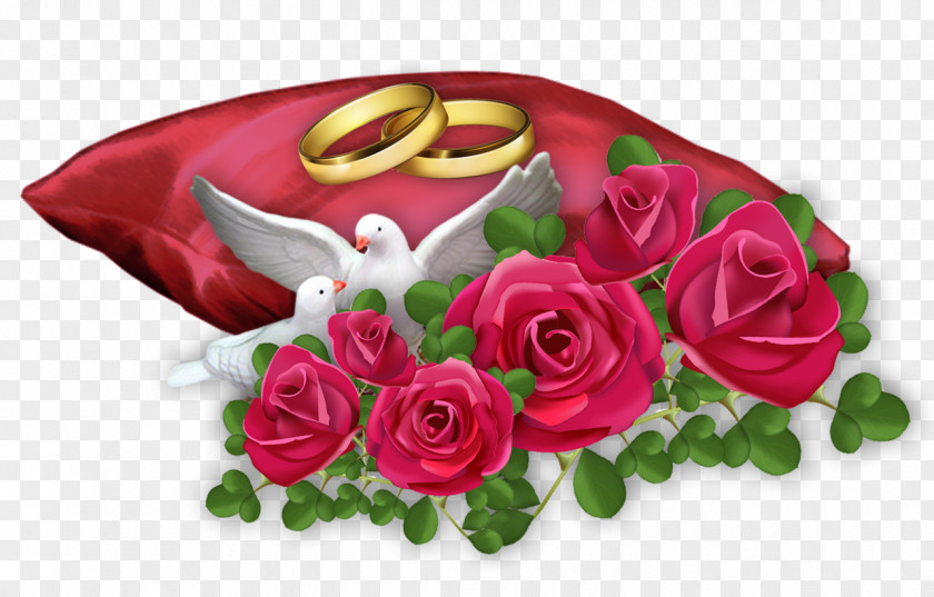 Rose Garden Roses Red Cut Flowers Ring PNG