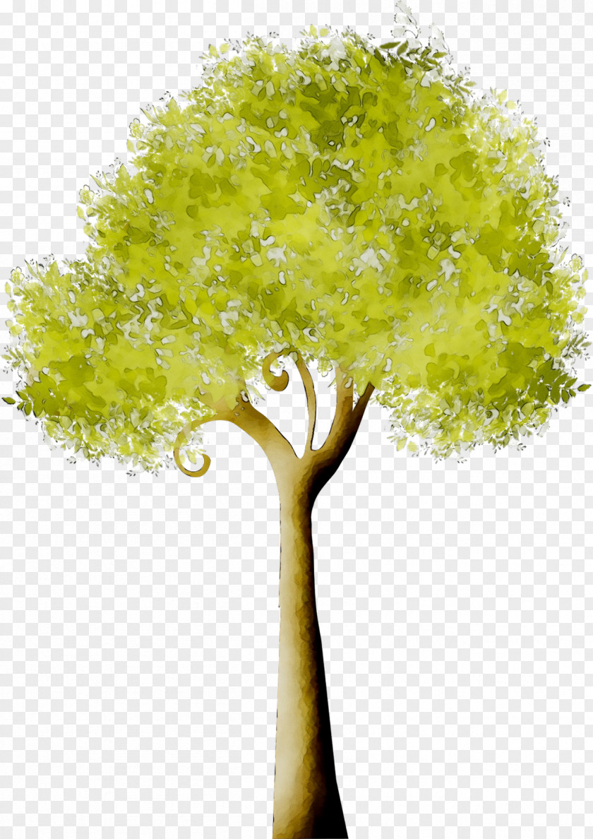 Tree Branch GIF Image PNG