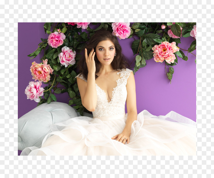 Bride Wedding Dress Marriage PNG