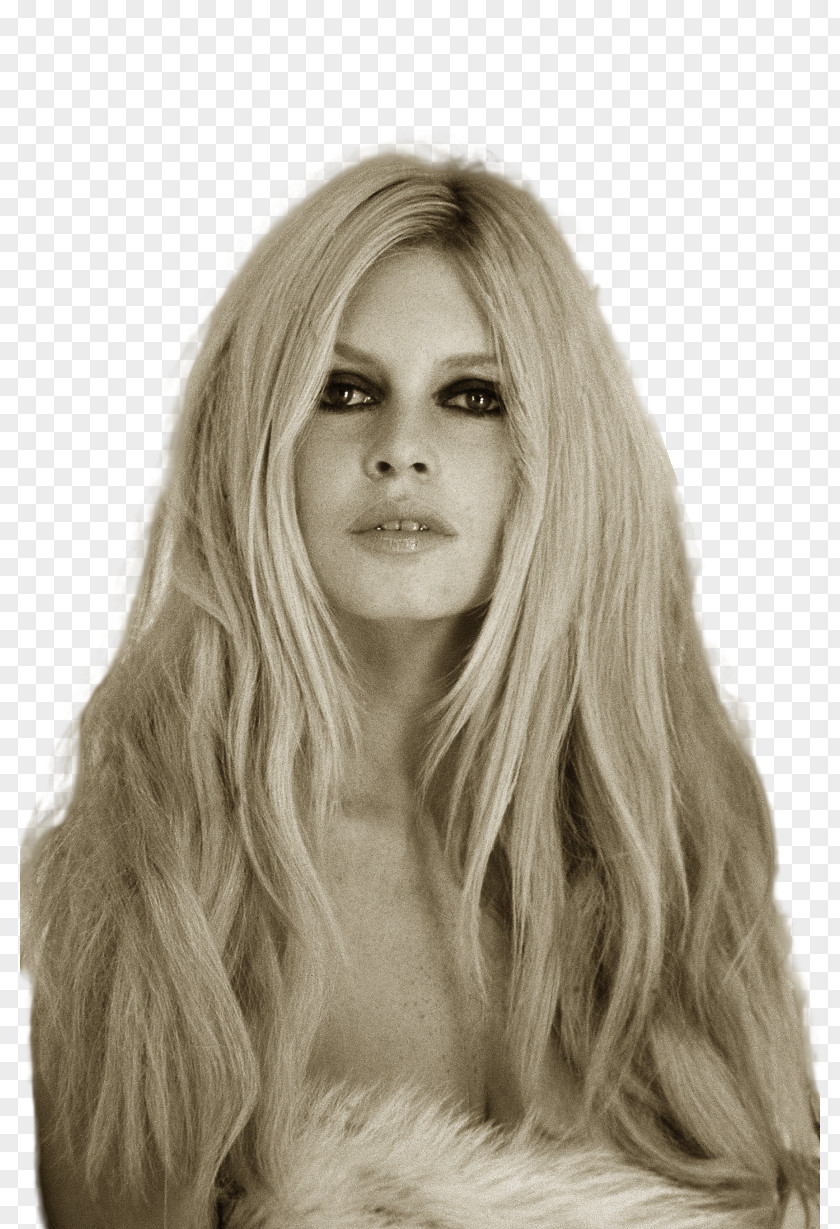 Brigitte Bardot Hairstyle Bouffant PNG