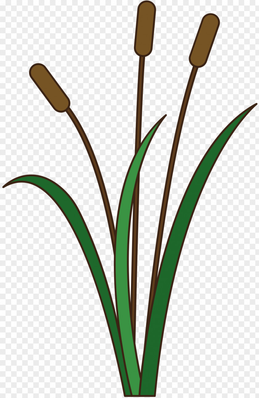 Clip Art Grasses Plant Stem Leaf Line PNG