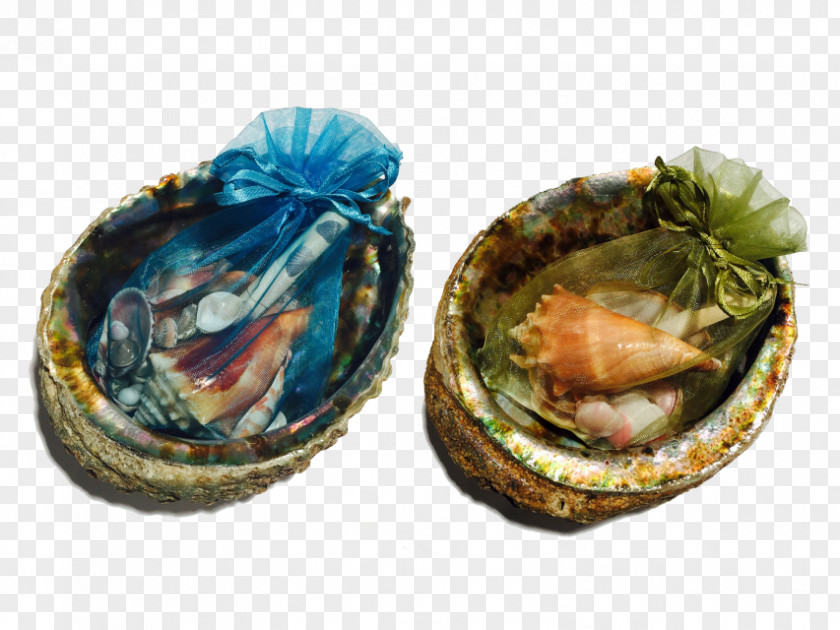 Crystal Pendulum Mussel Clam Abalone PNG