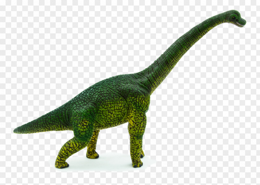 Dinosaur Brachiosaurus Stegosaurus Prehistoric World Tyrannosaurus PNG