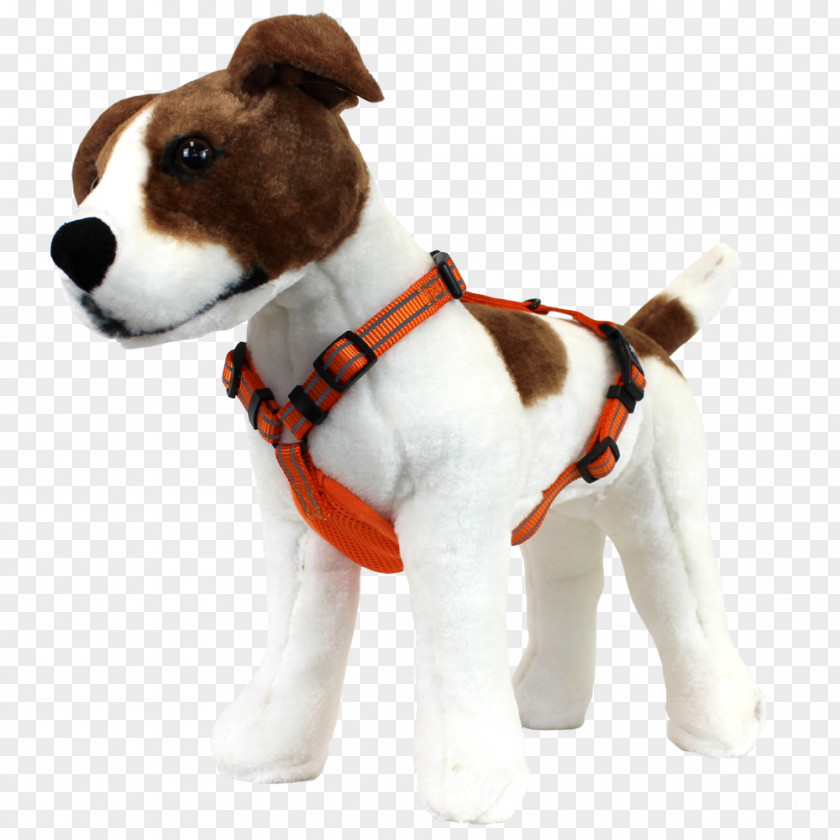 Dog Harness Jack Russell Terrier Breed Puppy Companion PNG