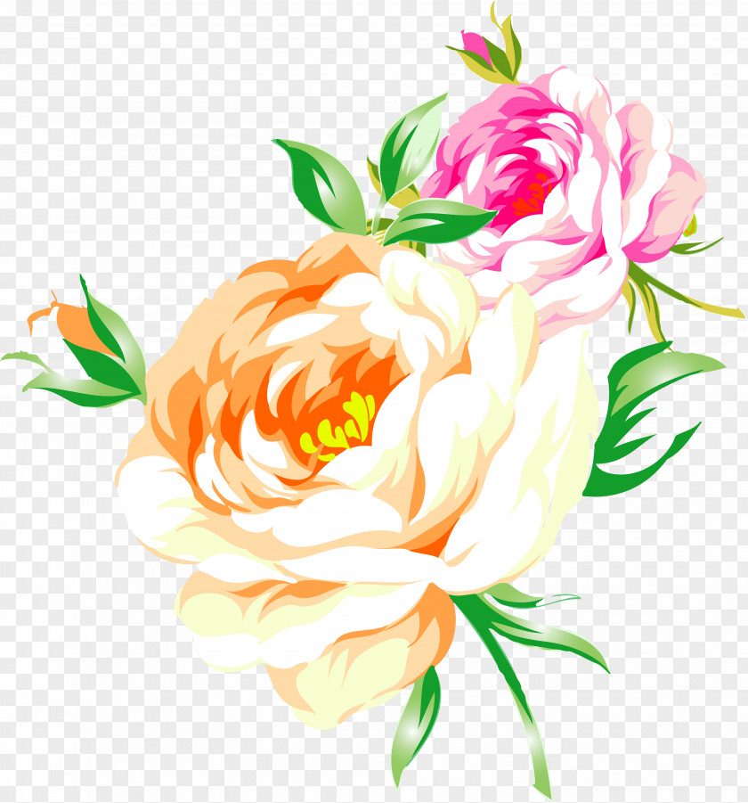 Free Floral Design Clip Art PNG