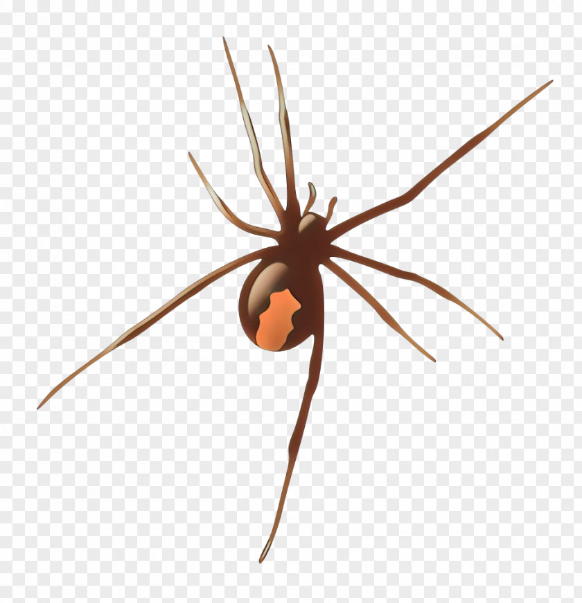 Pest Harvestman Spider Arachnid Widow Tangle-web Orb-weaver PNG