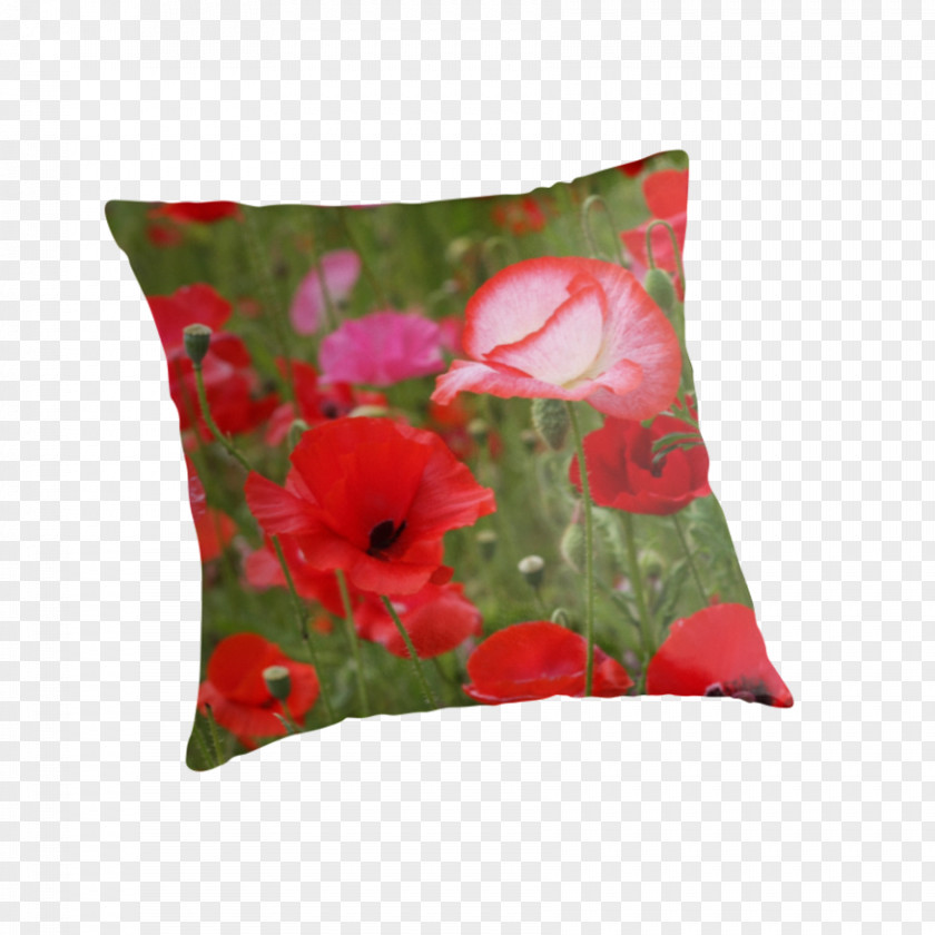 Pillow Cushion Throw Pillows Malvales PNG