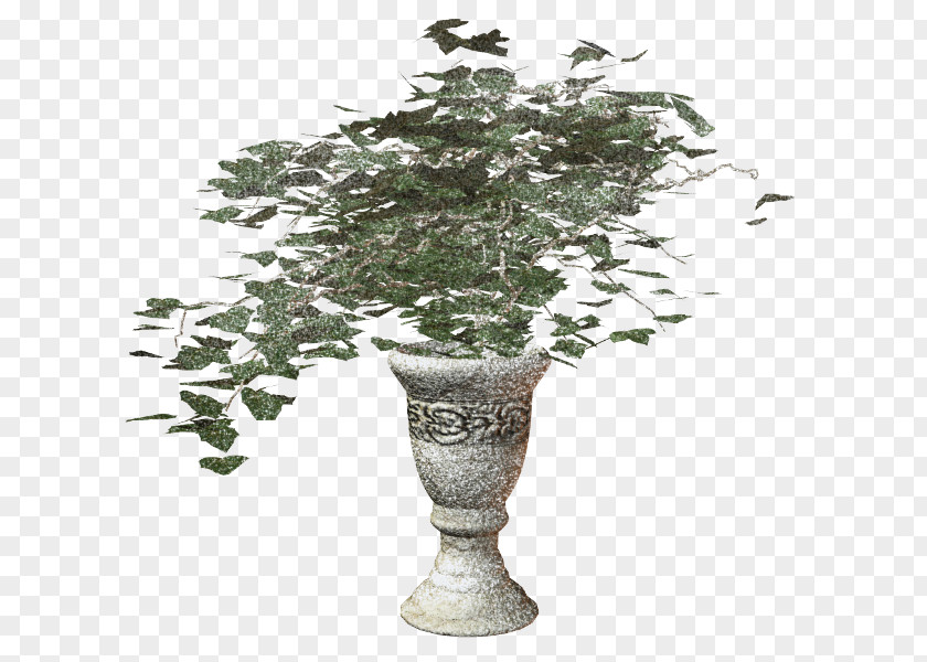 Vase Clip Art PNG