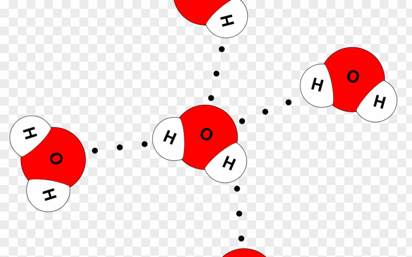 Water Hydrogen Bond Chemical Polarity Atom PNG