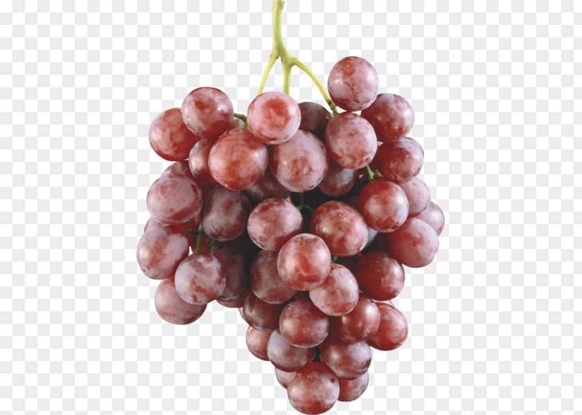 Wine Grape Fruit Food Seed PNG
