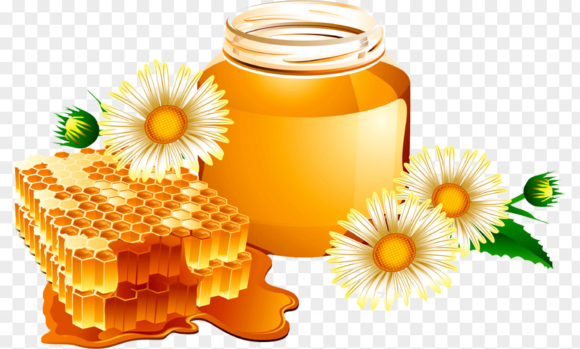 Bee PNG clipart PNG