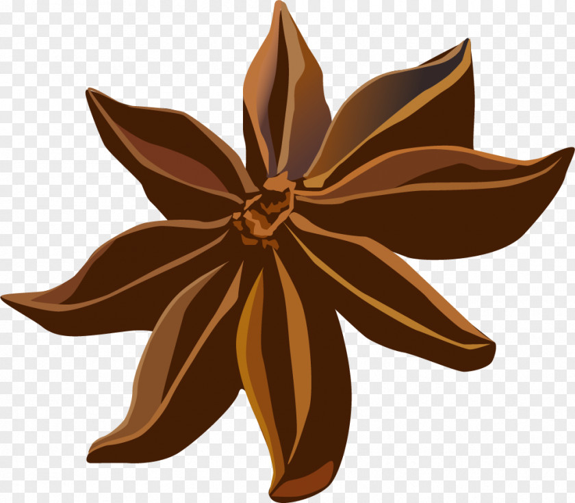 Hand Painted Brown Star Anise Spice Condiment PNG