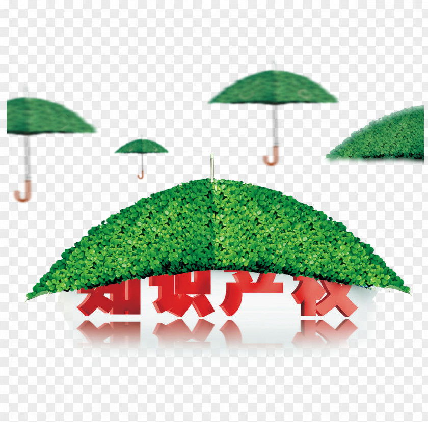 Intellectual Property Protection Umbrella China Copyright Patent PNG