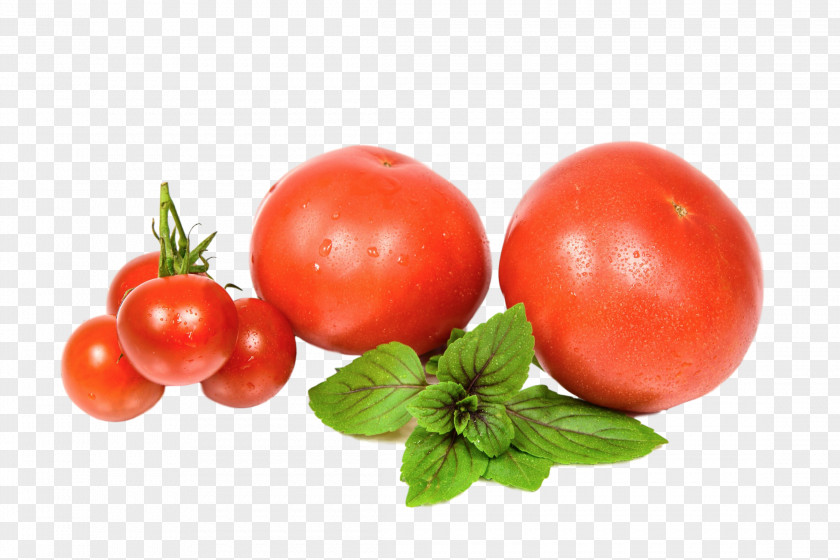 Tomato Organic Food Recipe Salad PNG