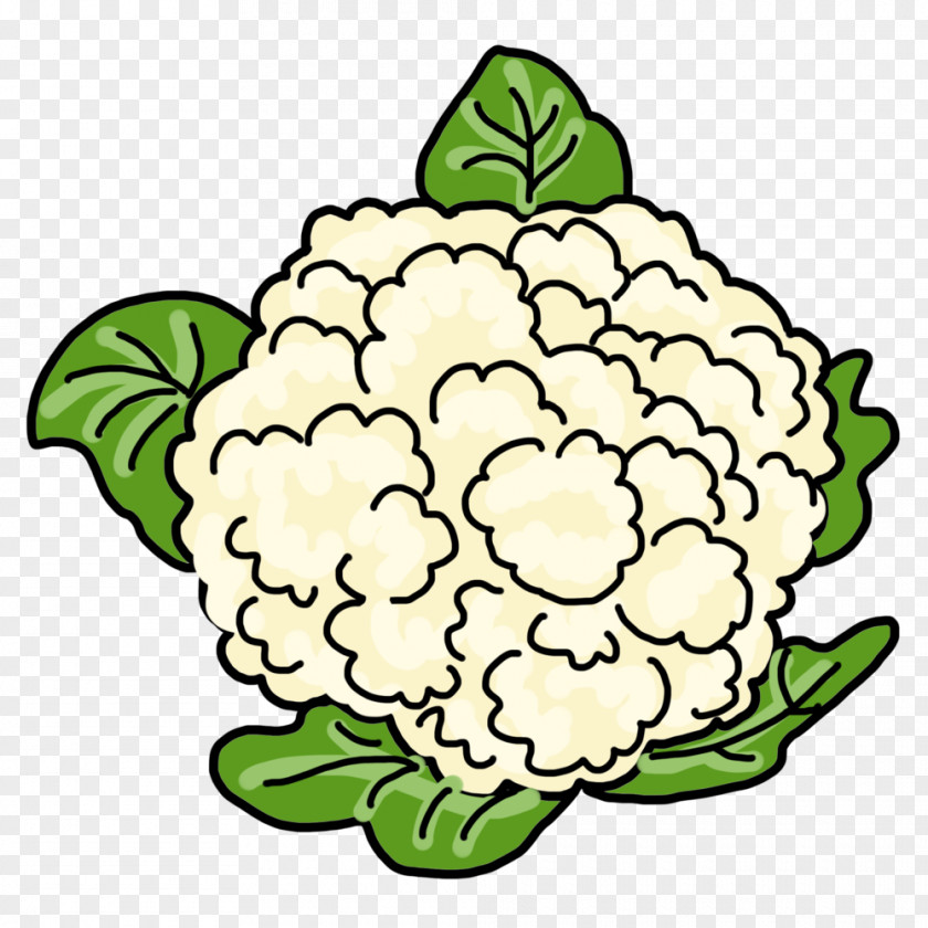 Vegetable Drawing Cauliflower Image Doodle PNG