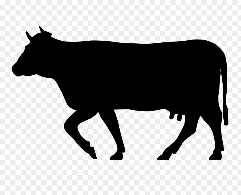 Beef Cattle Welsh Black Dairy PNG