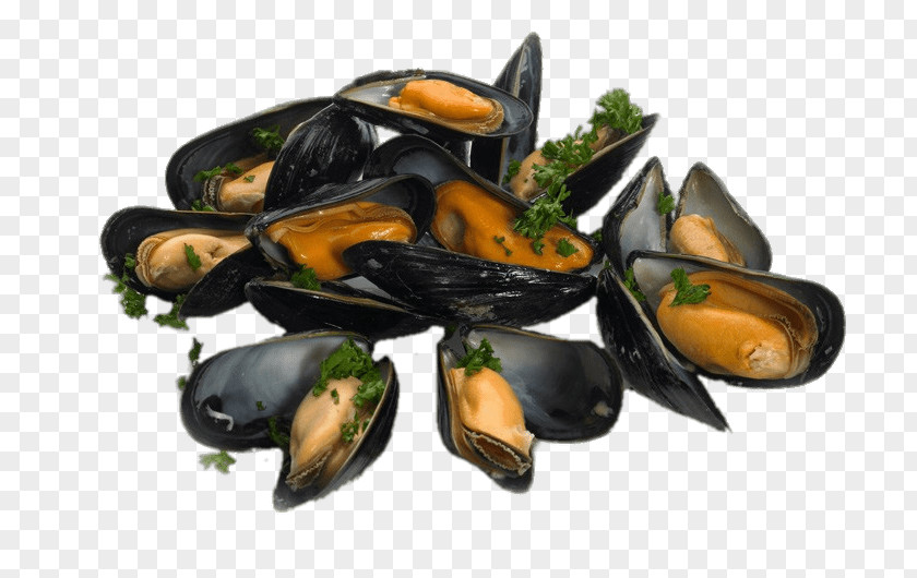Cooking Mussel Oyster Food Clam PNG