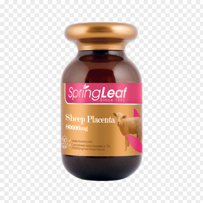 Manuka Placenta Dietary Supplement Sheep Vitamin Capsule PNG