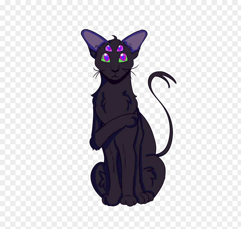 Open Mind Black Cat Kitten Whiskers Canidae PNG