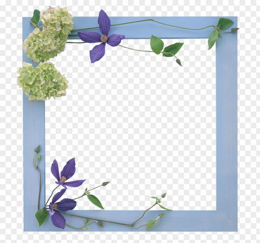 Polaroid Frames Floral Frame Chapters And Verses Of The Bible Holy Bible: New King James Version Psalms Verset PNG