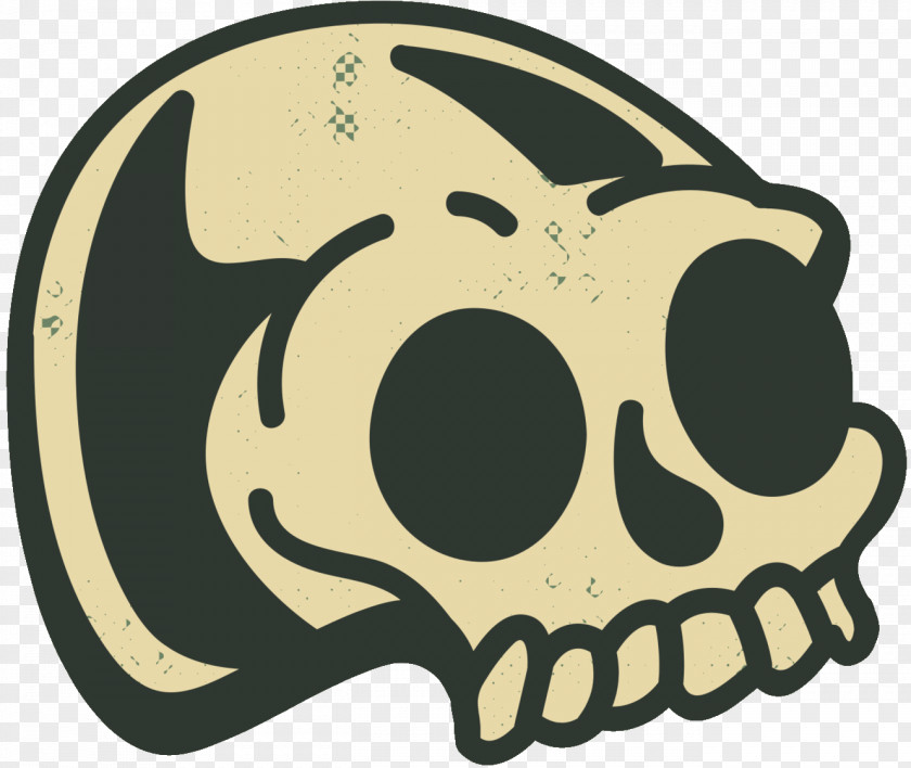 Skull Clip Art Image Human PNG